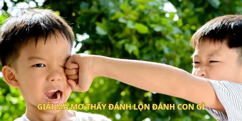 Giải mã mơ thấy đánh lộn đánh con gì
