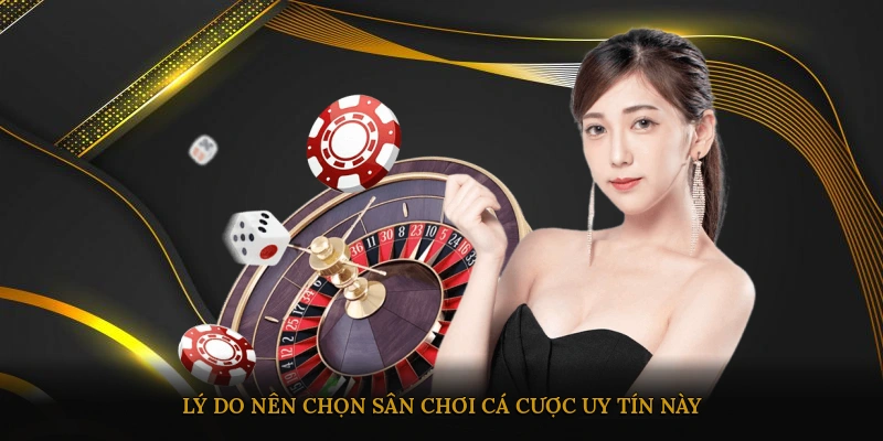 Lý do nên chọn sân chơi cá cược uy tín này
